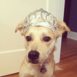 1005023_10153598996880441_2084530466_n