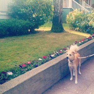 10478443_10154361833025441_1440731055410166453_n