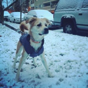 1478953_10153665144195441_1948814100_n