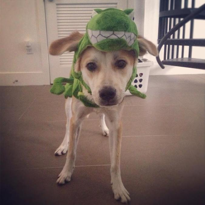 1551767_10153826209785441_1375553746_n