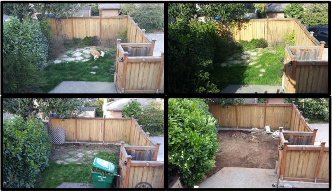 Yard Evolution 1